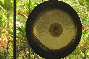 Gong Therapy Hawaii with Mehtab