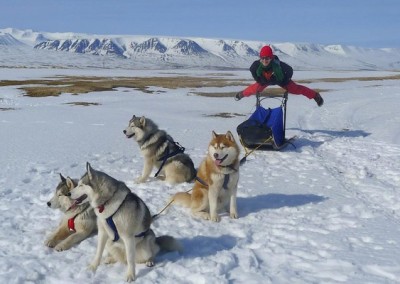 Iceland huskies yoga retreat