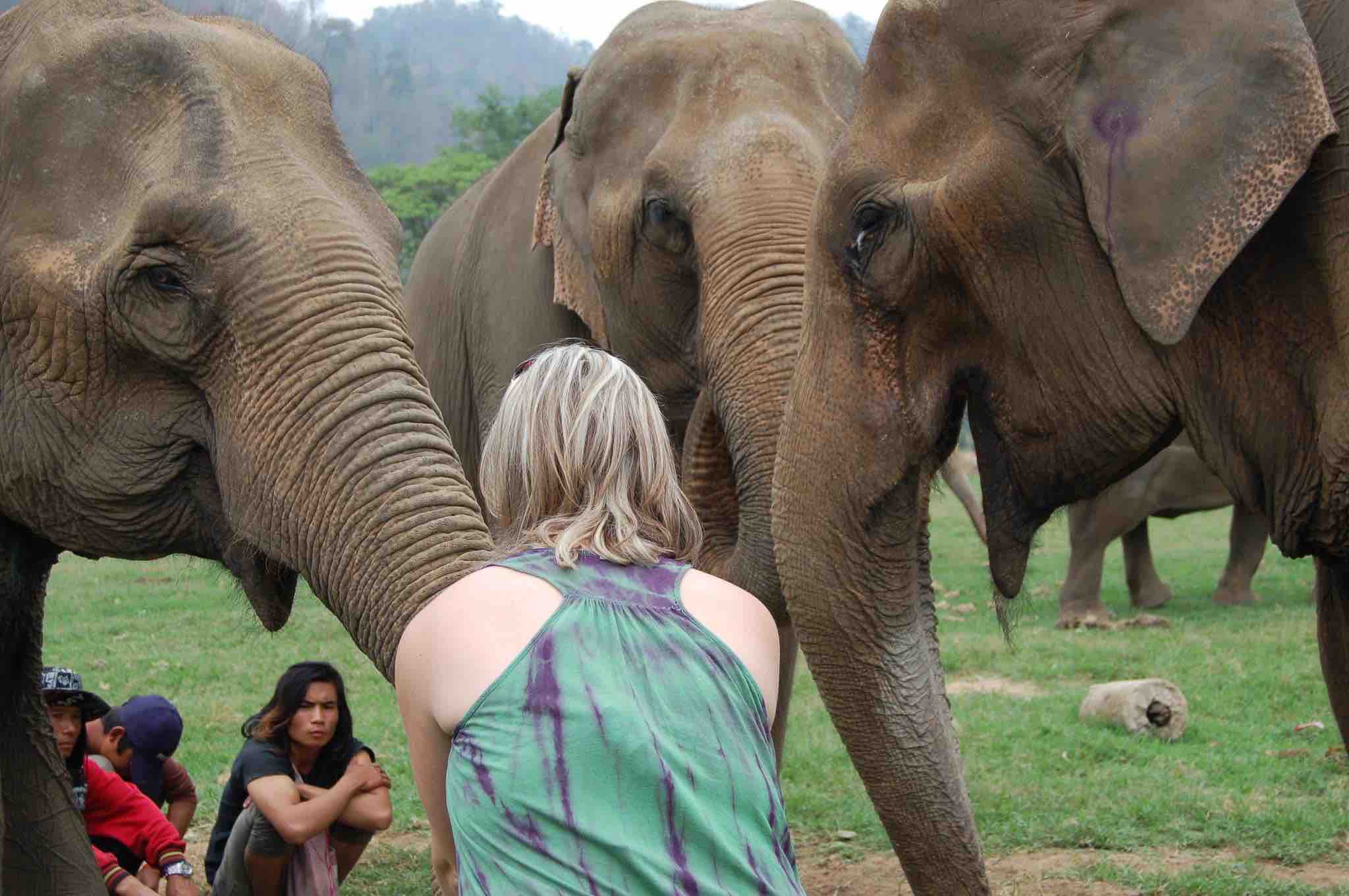 Selfless Service At Elephant Nature Park and Shopping at Night Markets in Chiang Mai With Alyson Simms