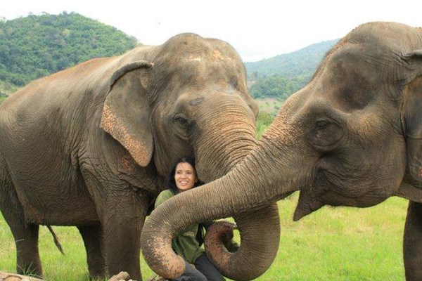 Thailand Elephant Rescue Service Retreat
