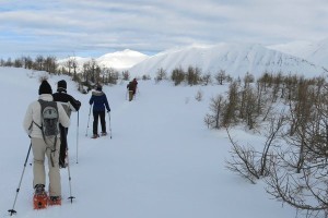 North Iceland Snowshoe Yoga Adventure