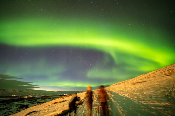 Iceland with Neda Honarvar