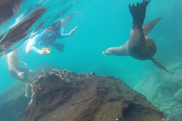 Galapagos Islands Yoga Retreats