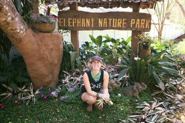 A Glimpse Into Elephant Nature Park With One Yoga Global