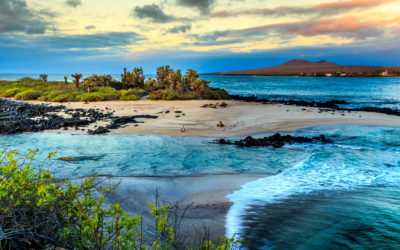 7 Facts About the Galápagos Islands That Make It Easy For Yogis To Fall In Love With This Pranic Destination