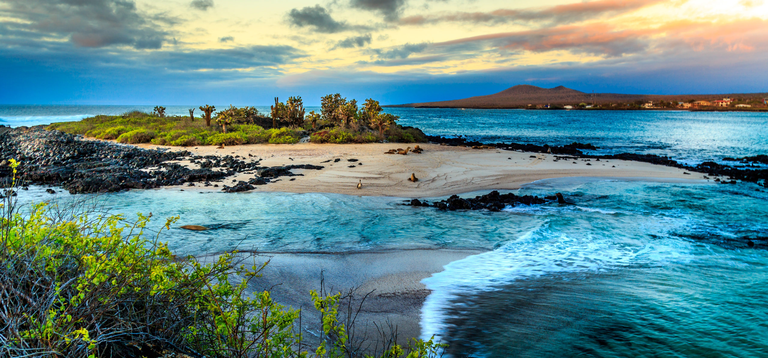 7 Facts About the Galápagos Islands That Make It Easy For Yogis To Fall In Love With This Pranic Destination