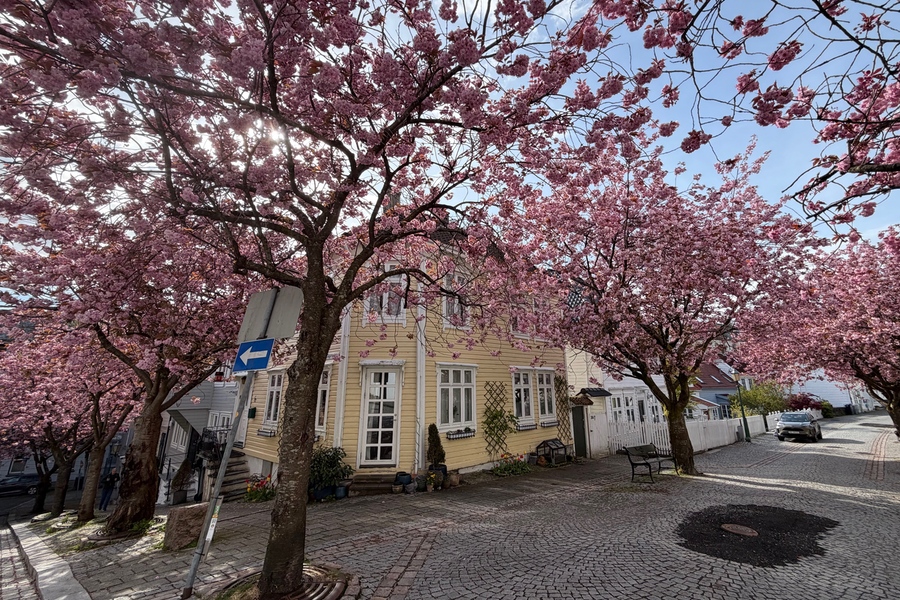 Bergen Spring